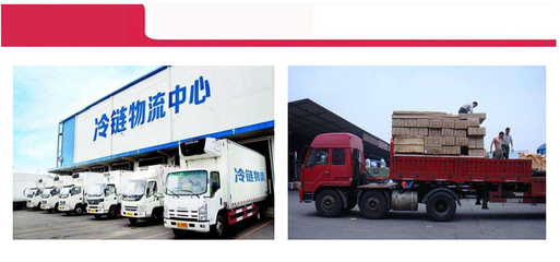 深圳冷鏈運(yùn)輸與物流配送服務(wù)指南