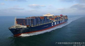 深圳宏福圣貨運代理 專業(yè)紐約海運雙清服務(wù)與高效運輸代理解決方案