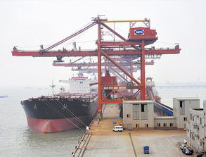 煙臺(tái)至廈門內(nèi)貿(mào)海運(yùn) 價(jià)格構(gòu)成與專業(yè)運(yùn)輸代理服務(wù)詳解